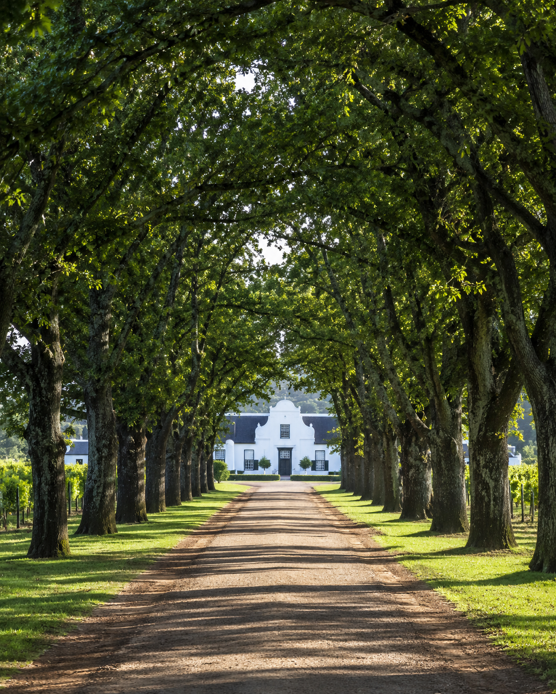 Cape Winelands estate